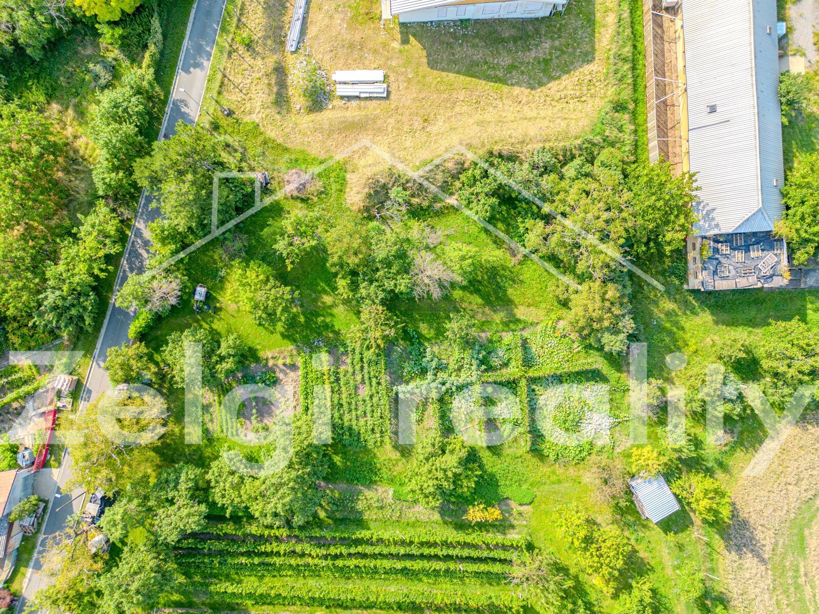DJI_0310-HDR.jpg