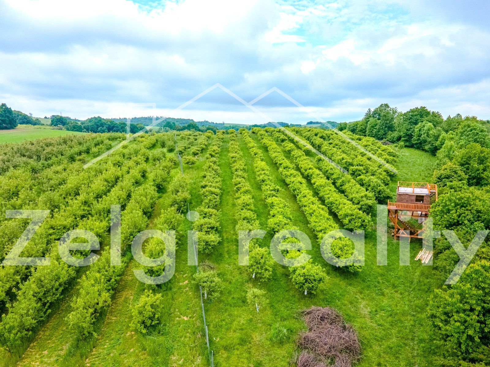 DJI_0869-HDR.jpg