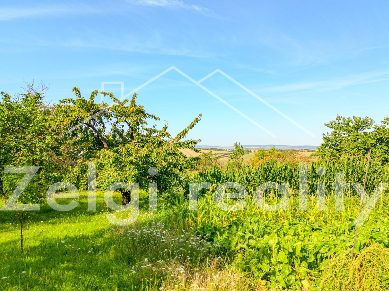 DJI_0304-HDR.jpg