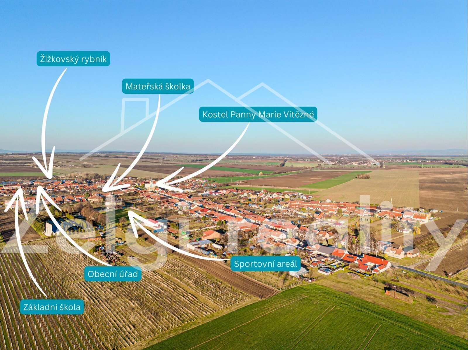 1742895443-4121.jpg