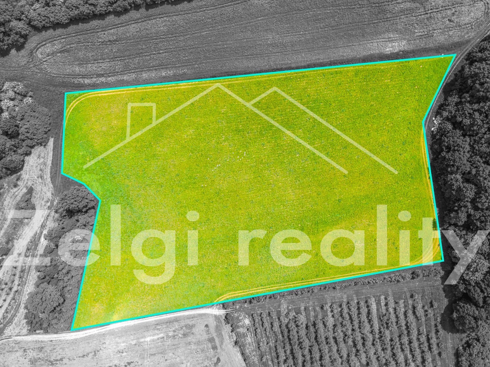 DJI_0921.jpg