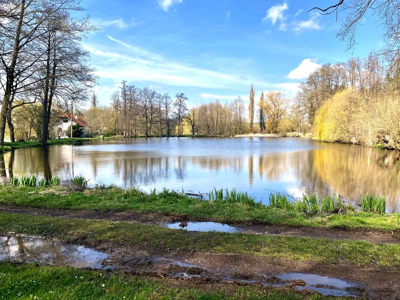 výhled na vodu s výhled na vodu a pohled na lesy