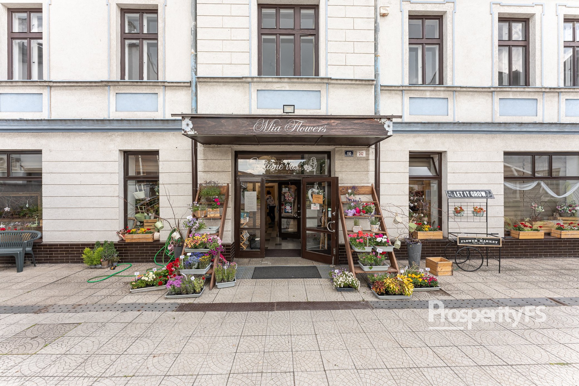 Budova