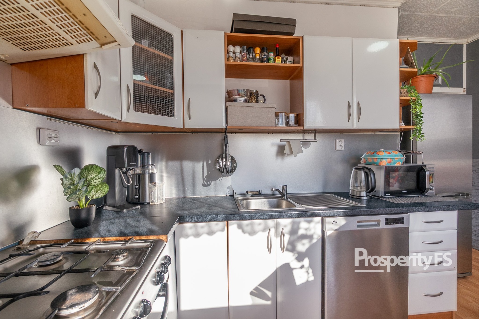 SONY_ILCE-7M3_2026-03-02_22339158016