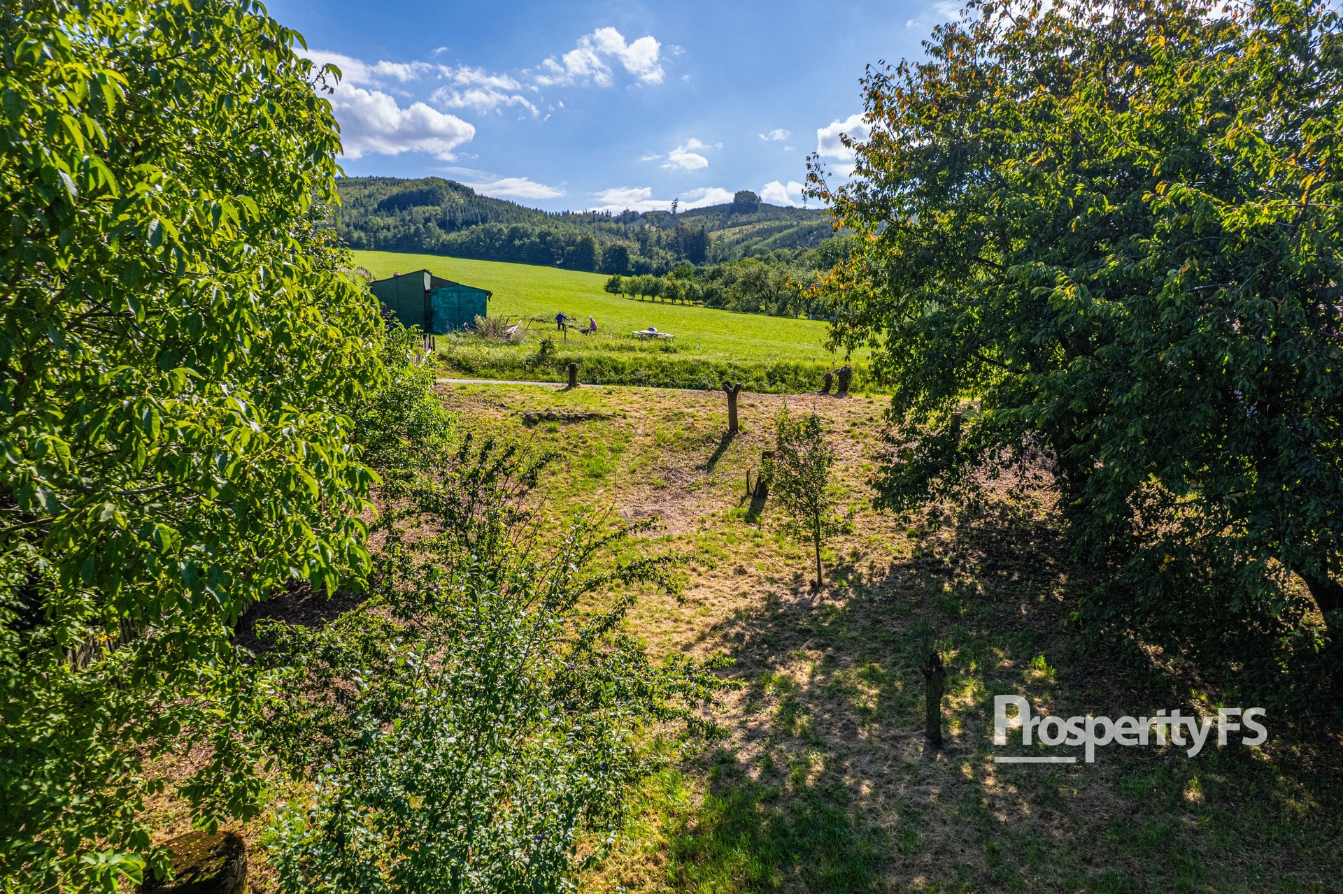 DJI_0416