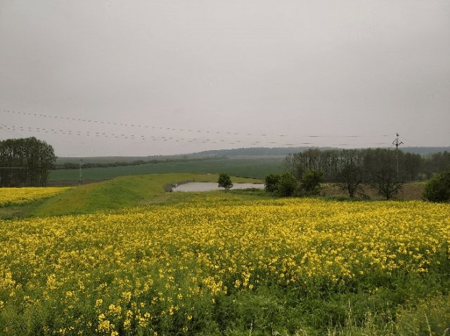 5edf54a711fc42.875205874