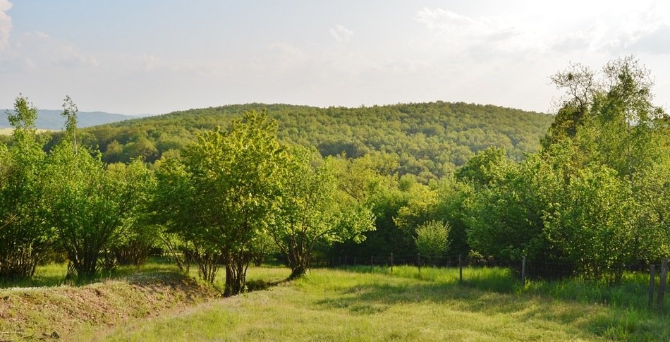 fe89e52b72e8ee64e2be3815b99e0cbcab0b4dbb