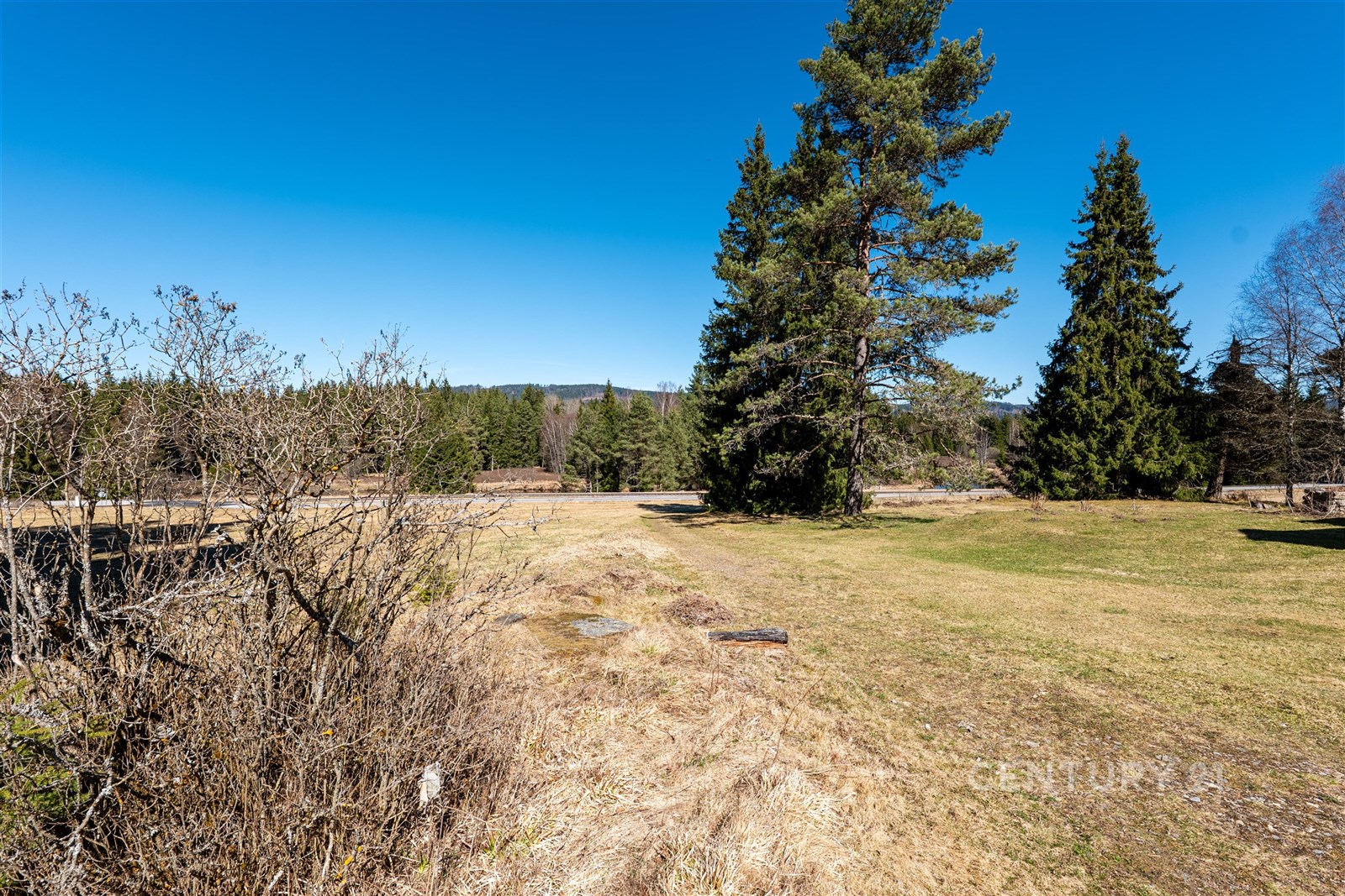 Volný pozemek v klidné lokalitě s přírodním prostř