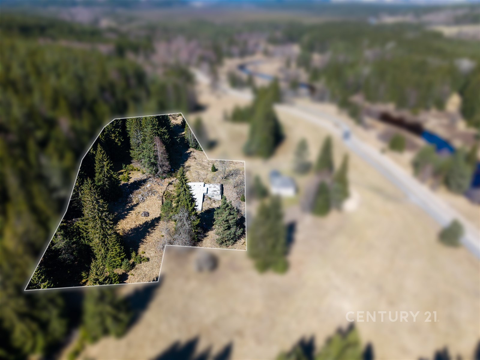 Prázdná stavba a okolní pozemek obklopený lesem, v