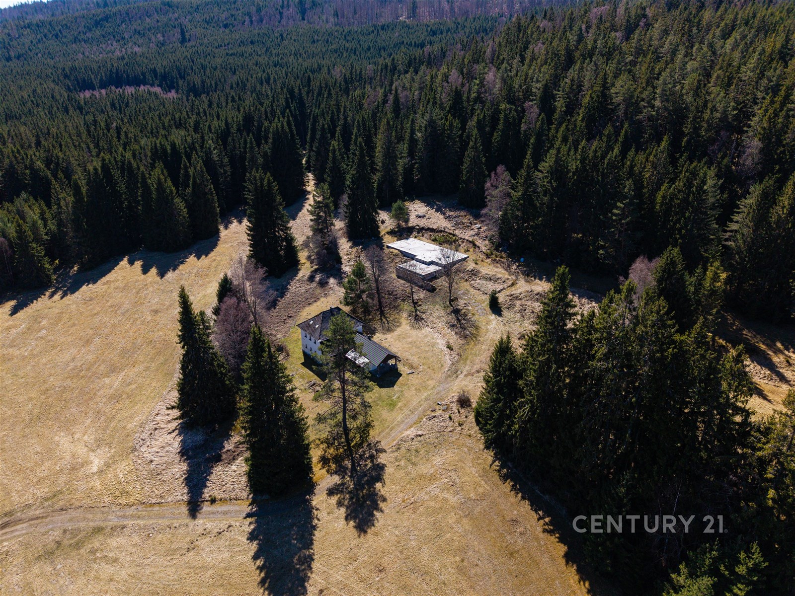 Chata v lesním prostředí obklopená stromy, dřevěná