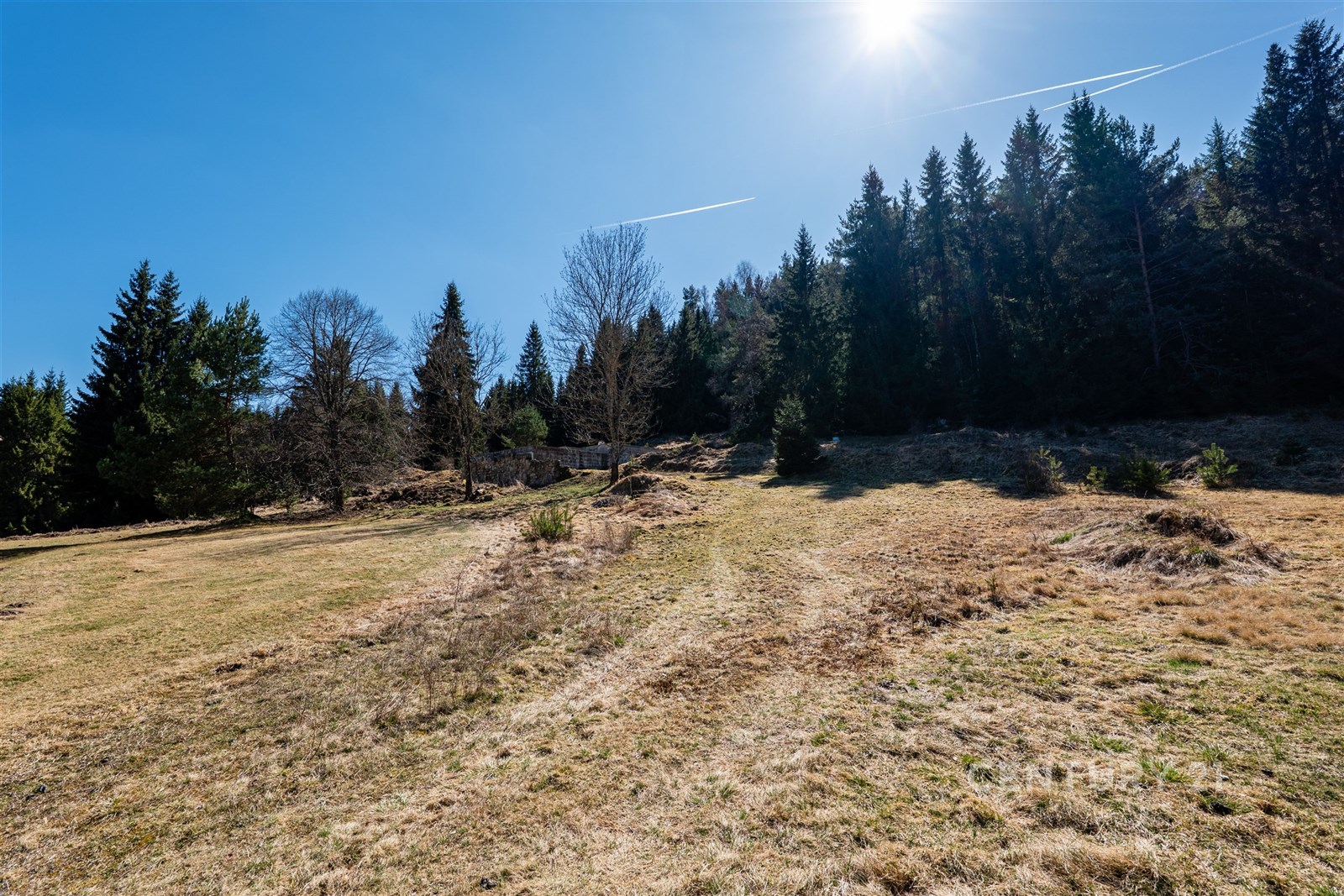 Lesní pozemek s rozlehlou travnatou plochou, obklo