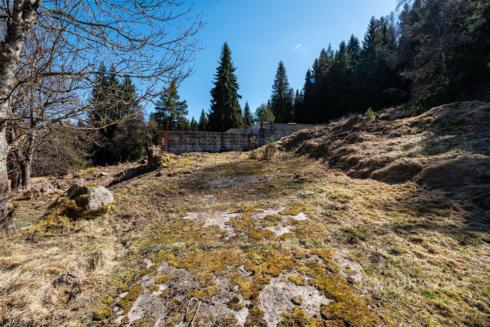 Opomíjený stavební pozemek na okraji lesa s nerovn