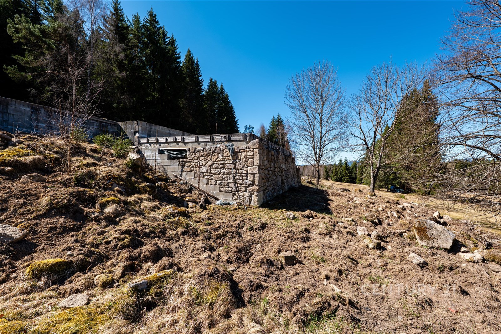 Exteriér kamenné stavby s přírodním okolím, robust