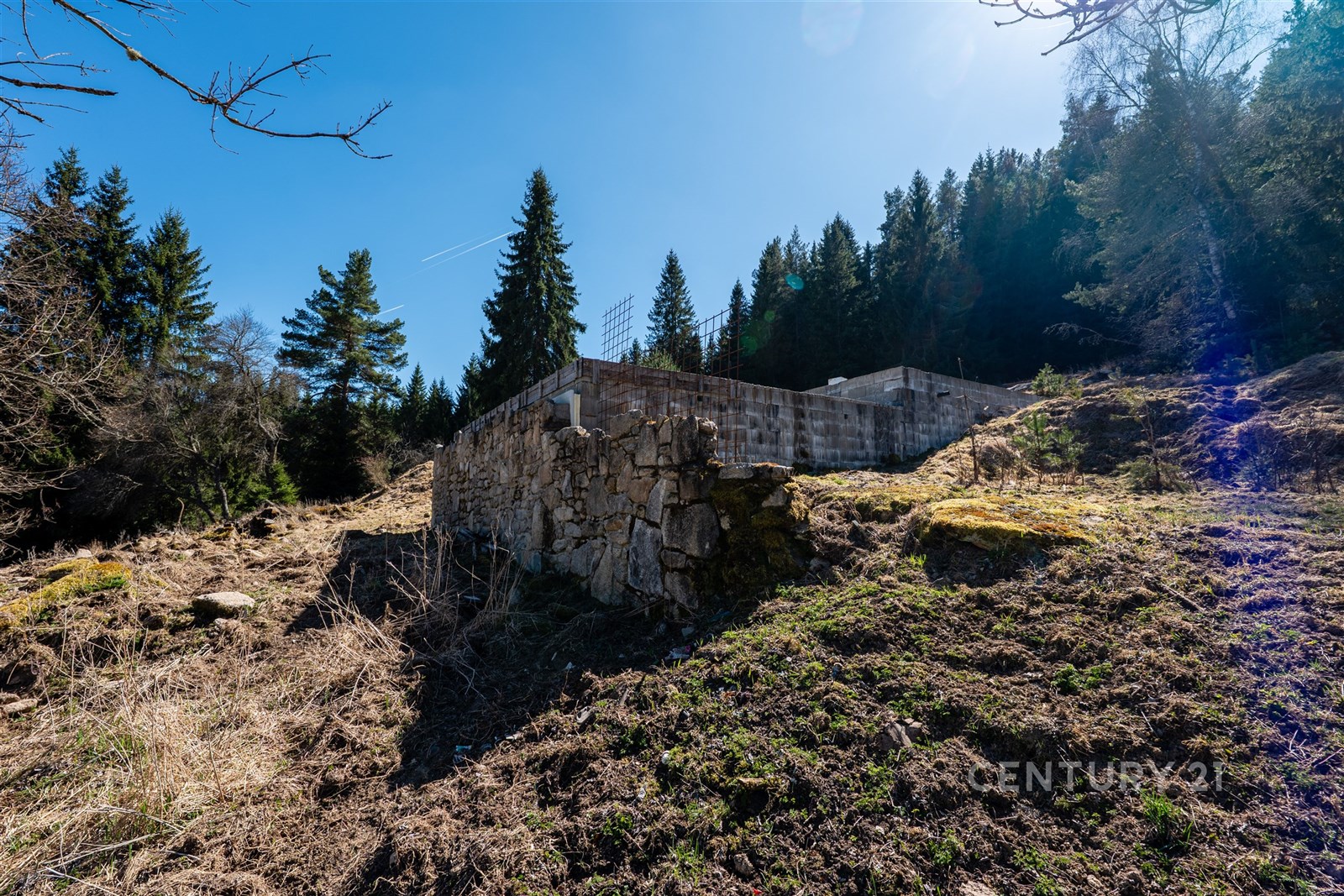 Kamenný základ venkovského domu s výhledem do lesa