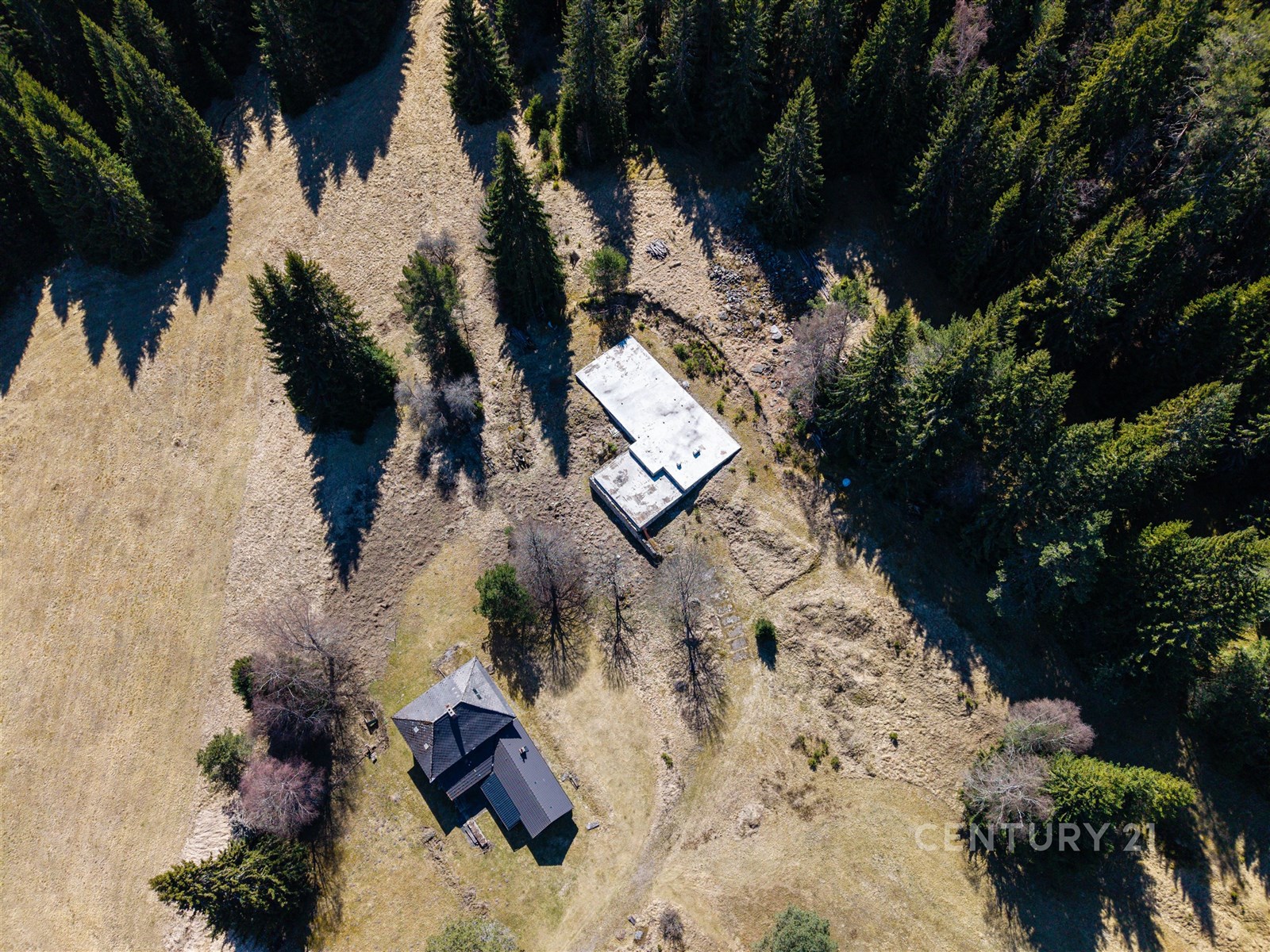Horské prostředí se dvěma budovami obklopenými les