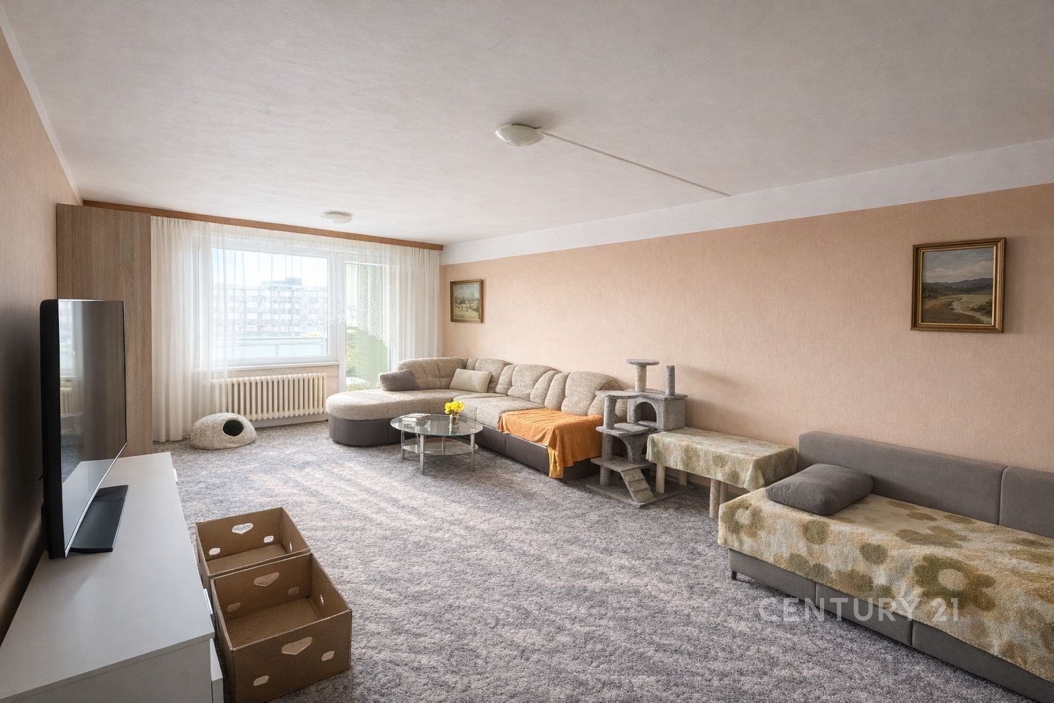 Prostorný obývací pokoj se světlým koberce, velkým