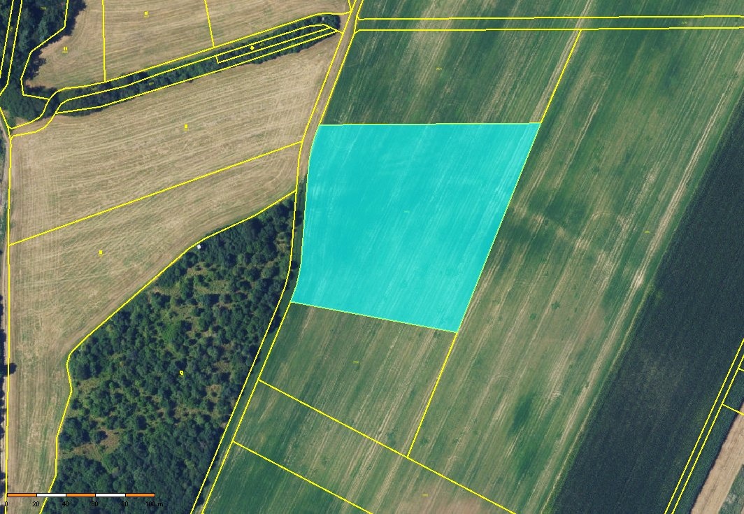 Bořitov LV669 orto2