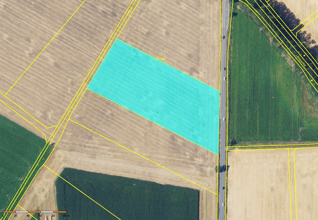 Bořitov LV669 orto3