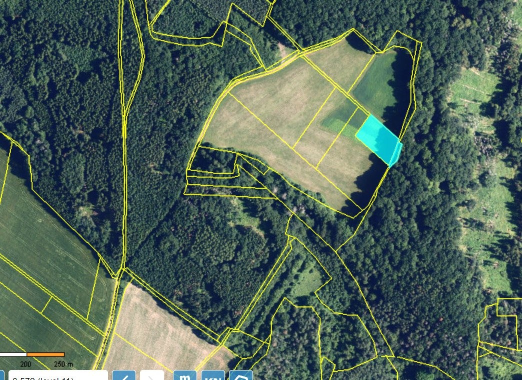 skalička u tiš orto v