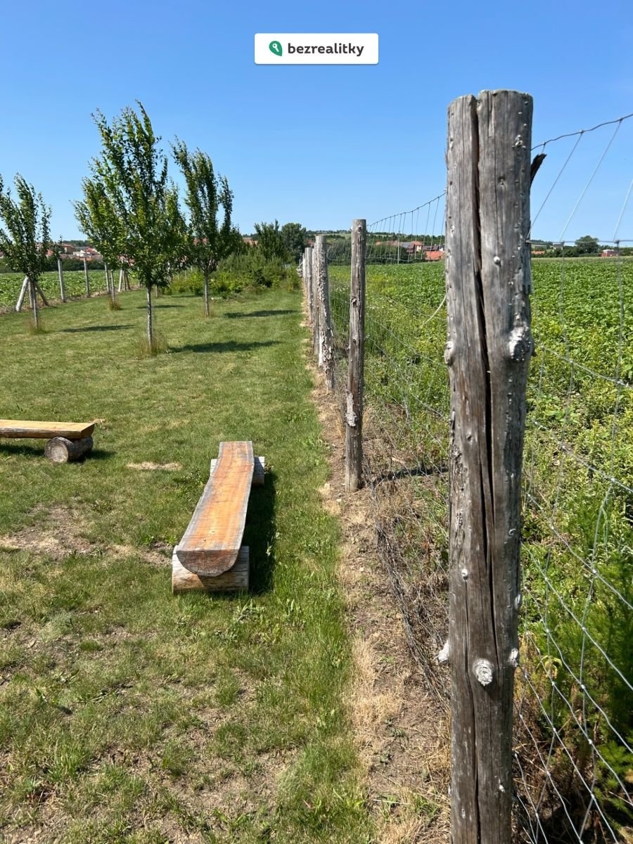 1763367521-nmfzbuumat-img-5651