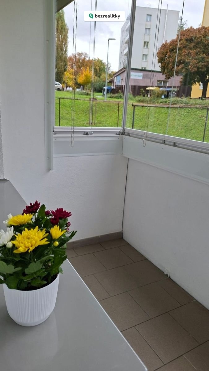 1760903633-tcwxwusxfh-2ae7de6d-7352-420f-bdca-028b