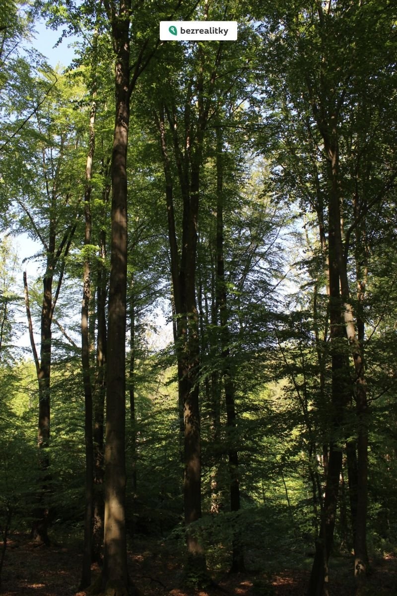 1764545289-prcvxnegym-img-6471