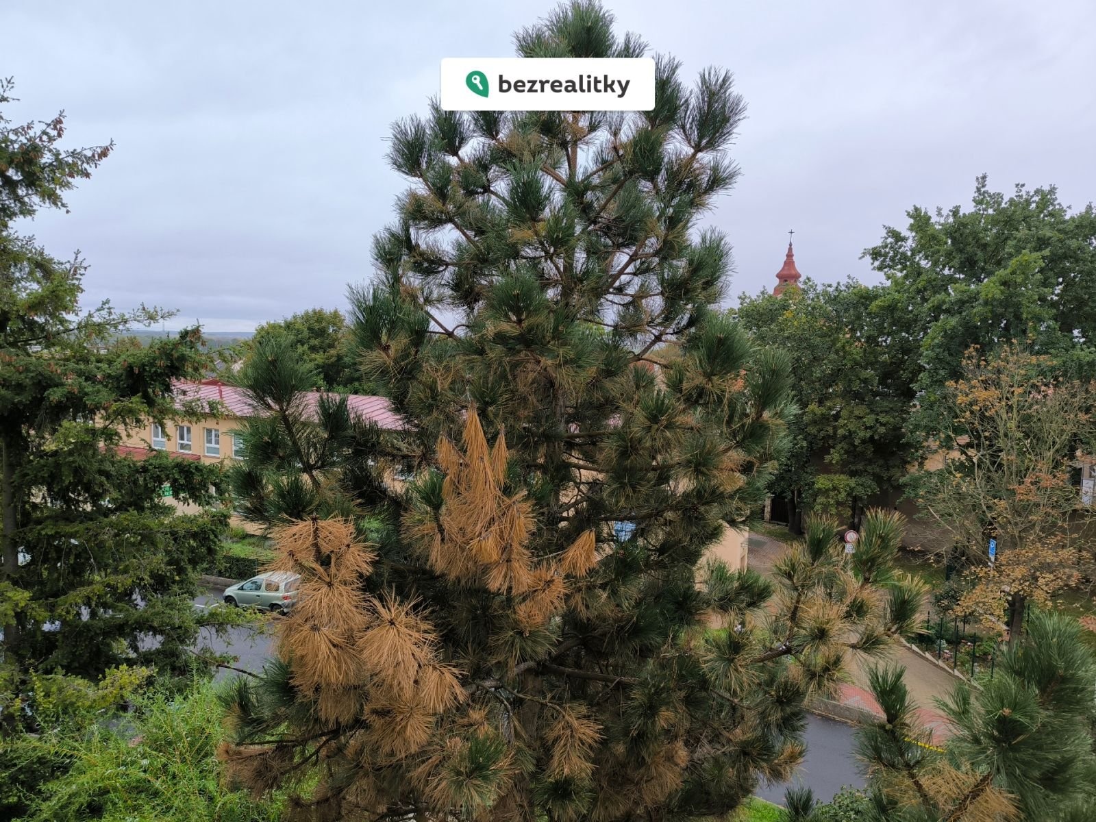 1758564288-jsbbnilkrb-img-20250922-134902