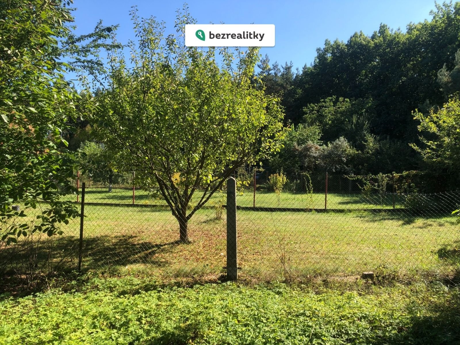 1775252515-evtqgmsrwf-img-7455