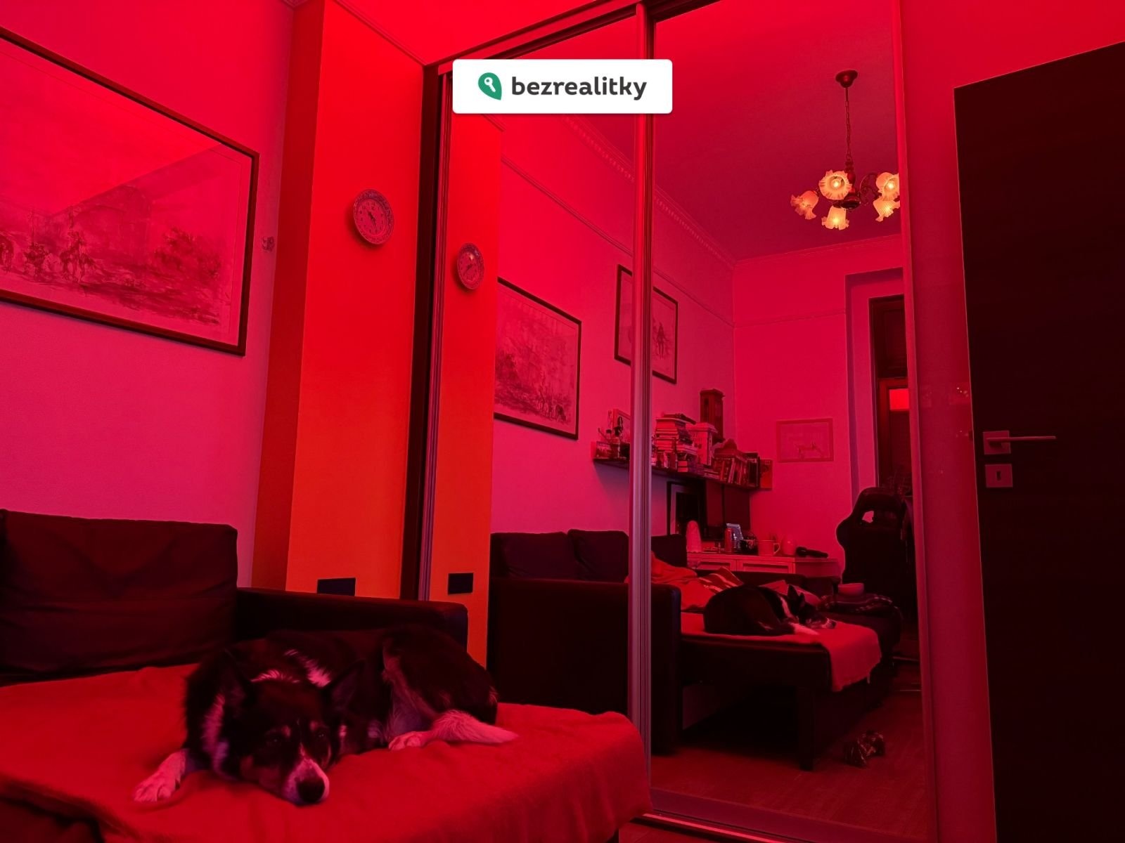 1769424000-mxgjgzcril-img-0348