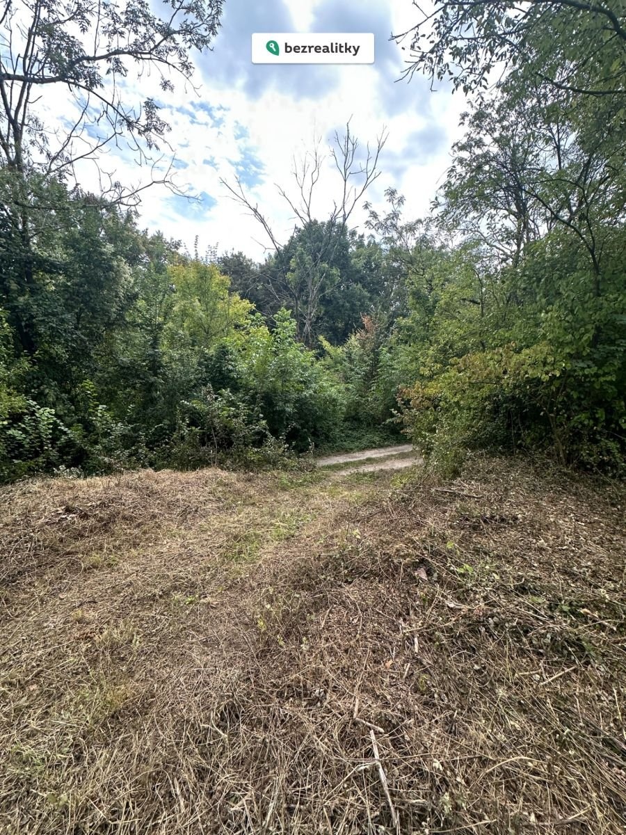 1763065469-qlitdepdpl-img-4085