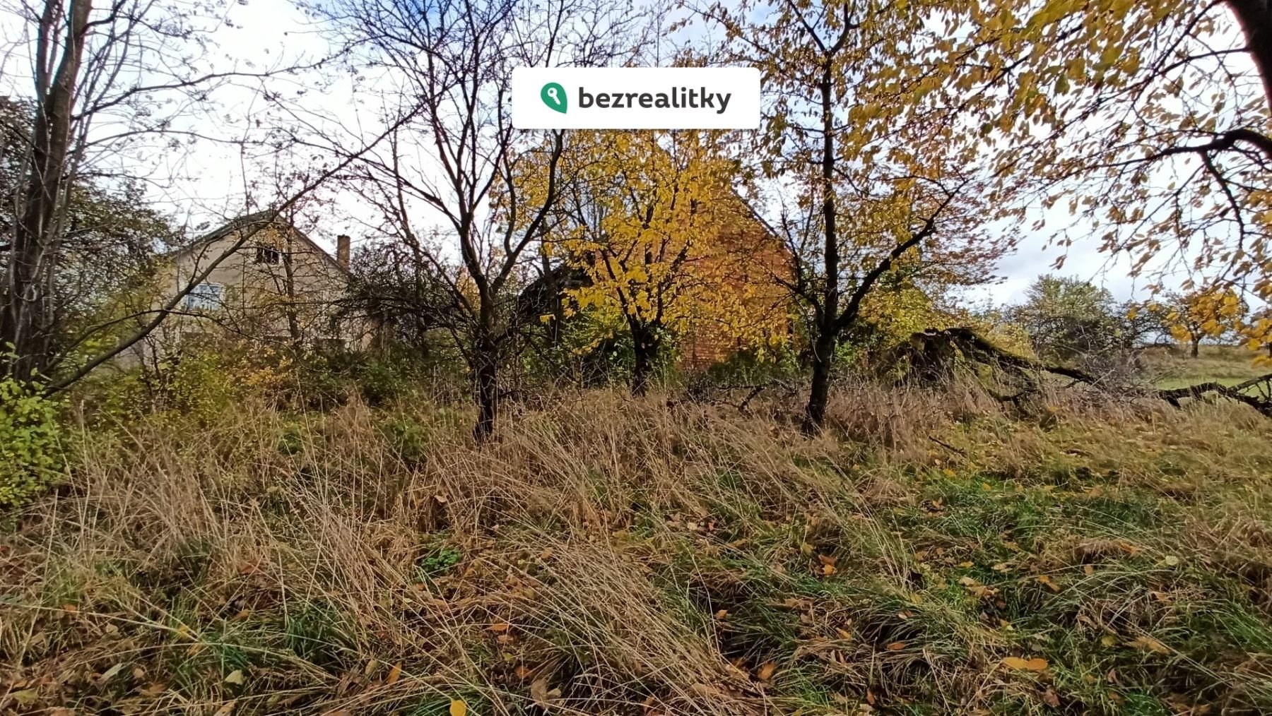 1769849891-byzucjkbij-img-20251026-120412