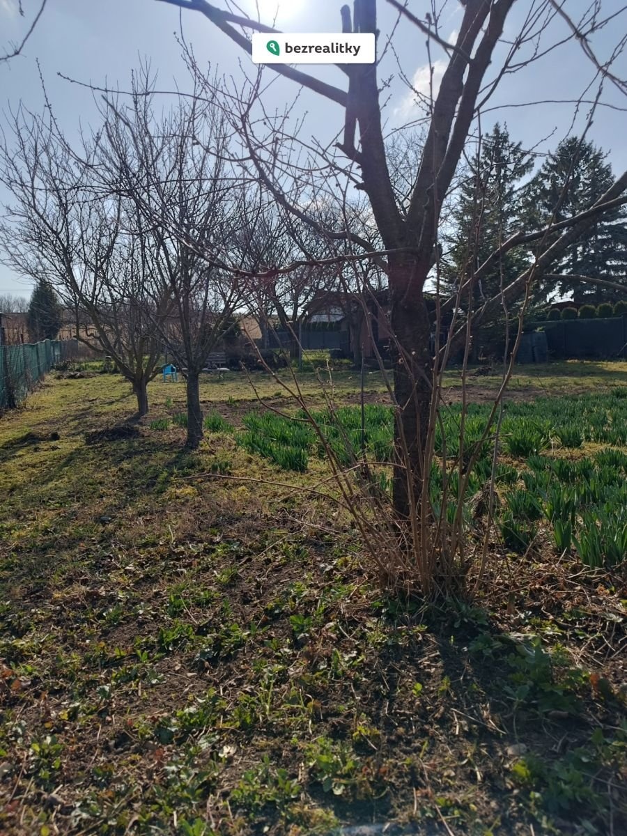 1774473669-ouecvwogbe-1000040776