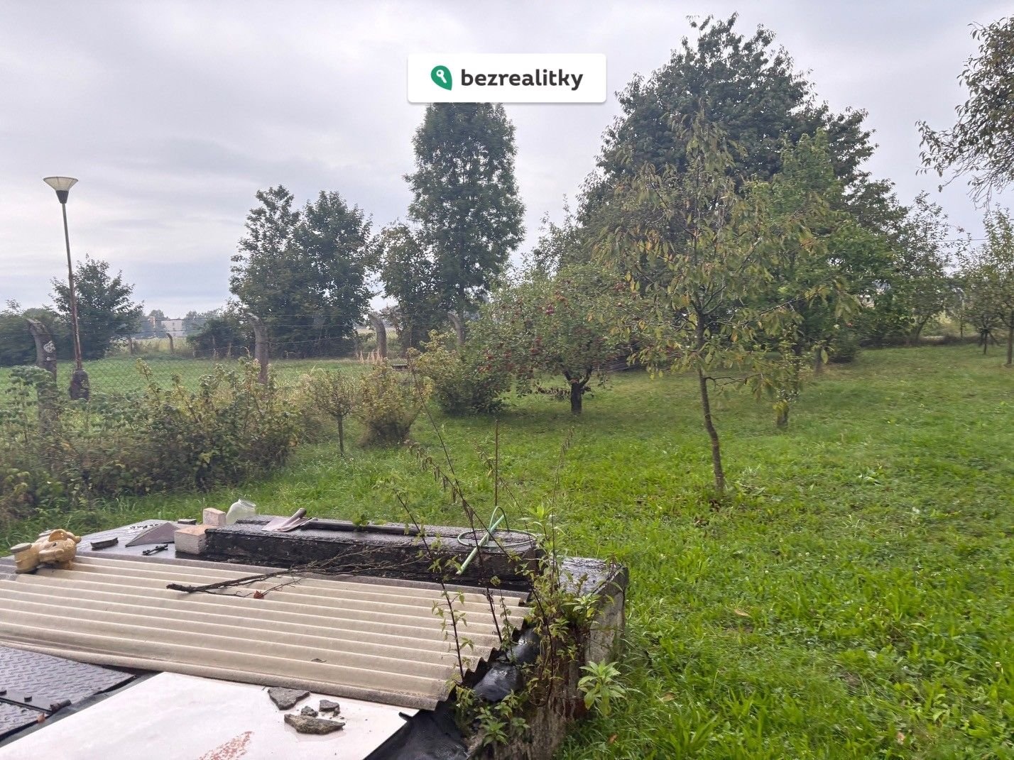 1772651931-evznrxrolu-img-2223