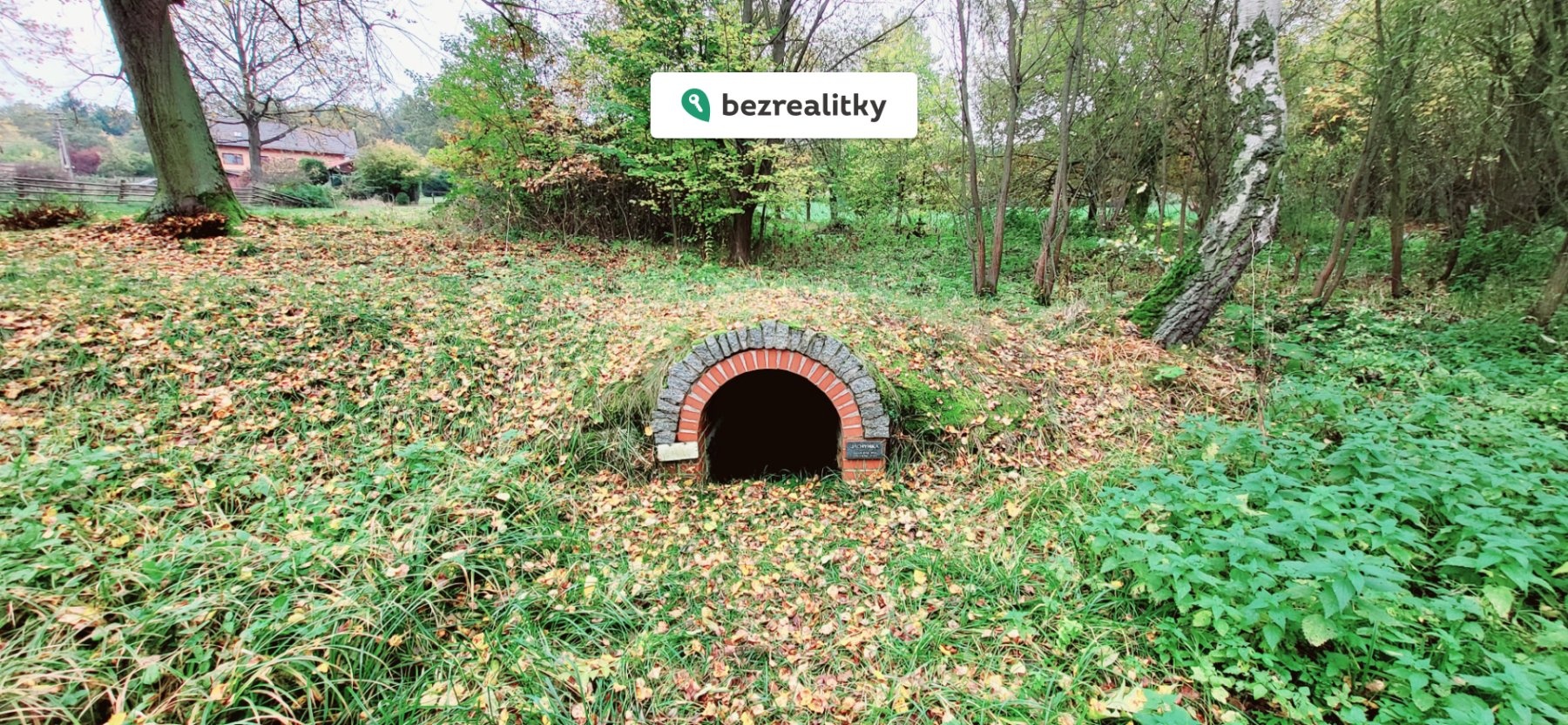 1730139661-oivxdynuhd-1000008464