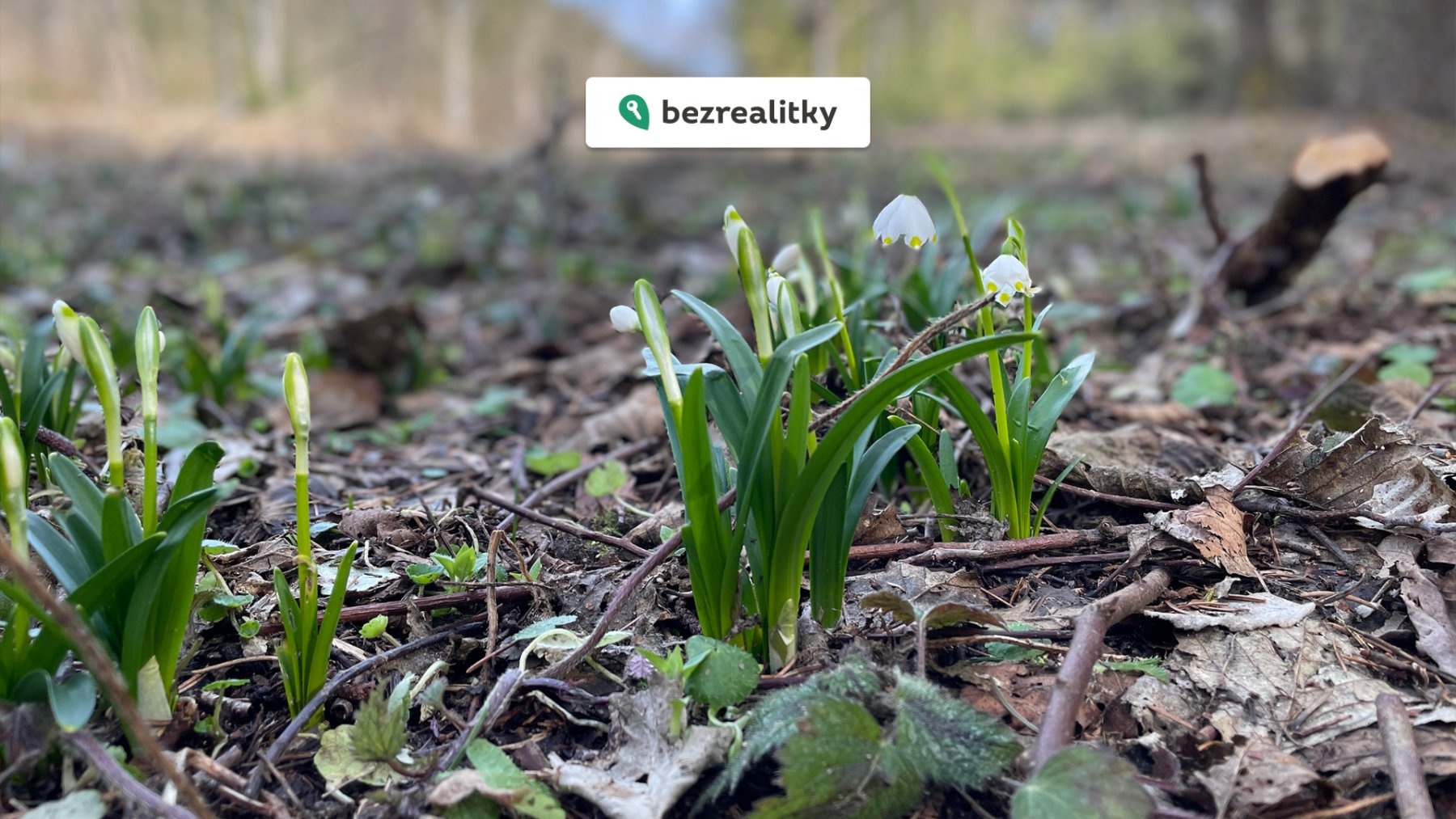 1761594182-qkopynrvnp-009