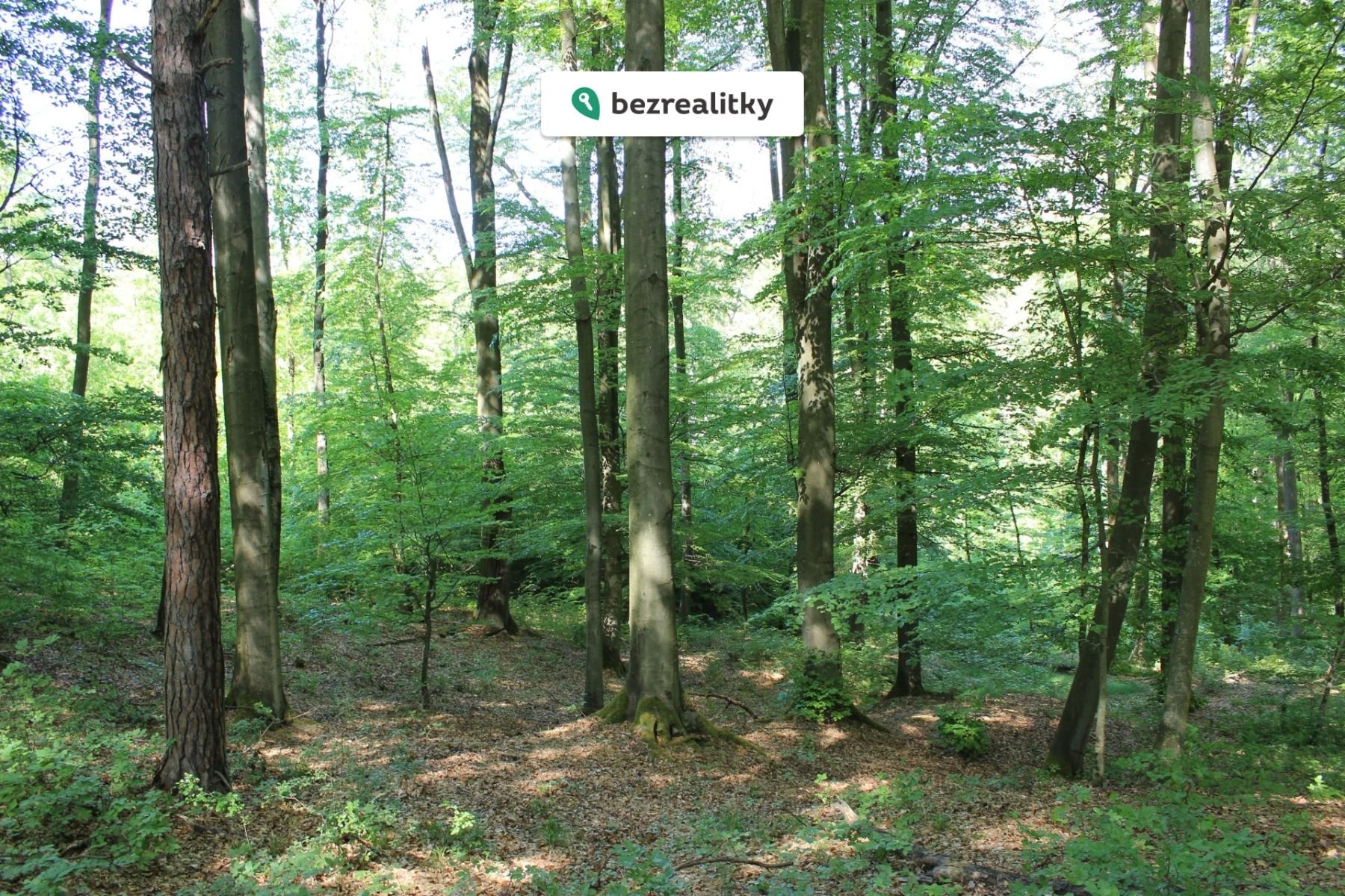 1764545293-fziqxuoqli-img-6470