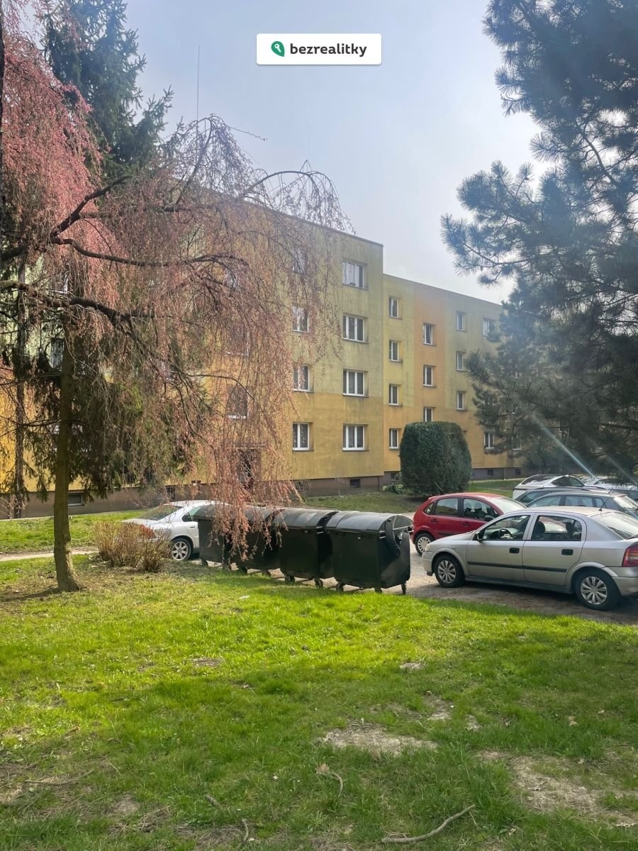 1774467654-ztqqfczvtb-img-4080