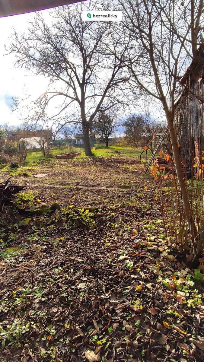 1765219819-xcnimhygvt-1000004335