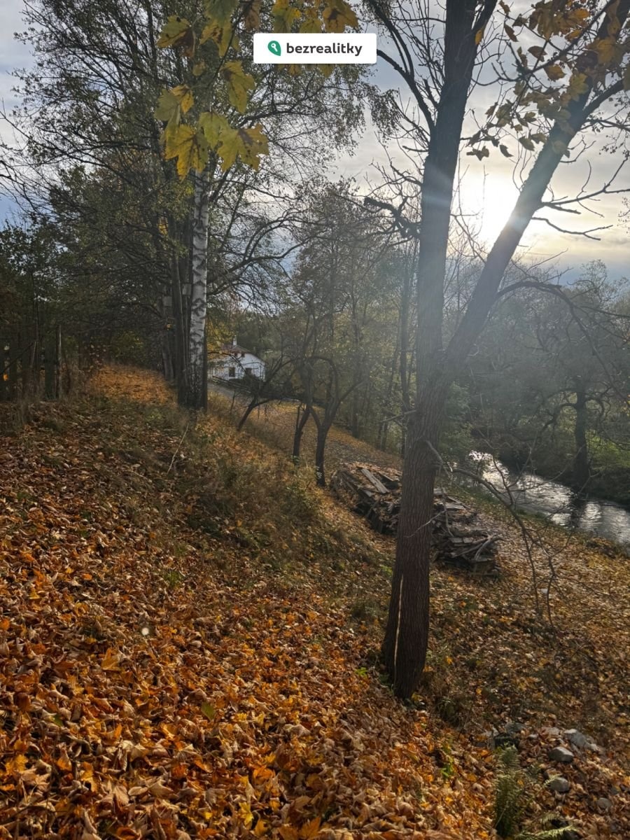 1771243669-ibjpmrnbma-img-8469