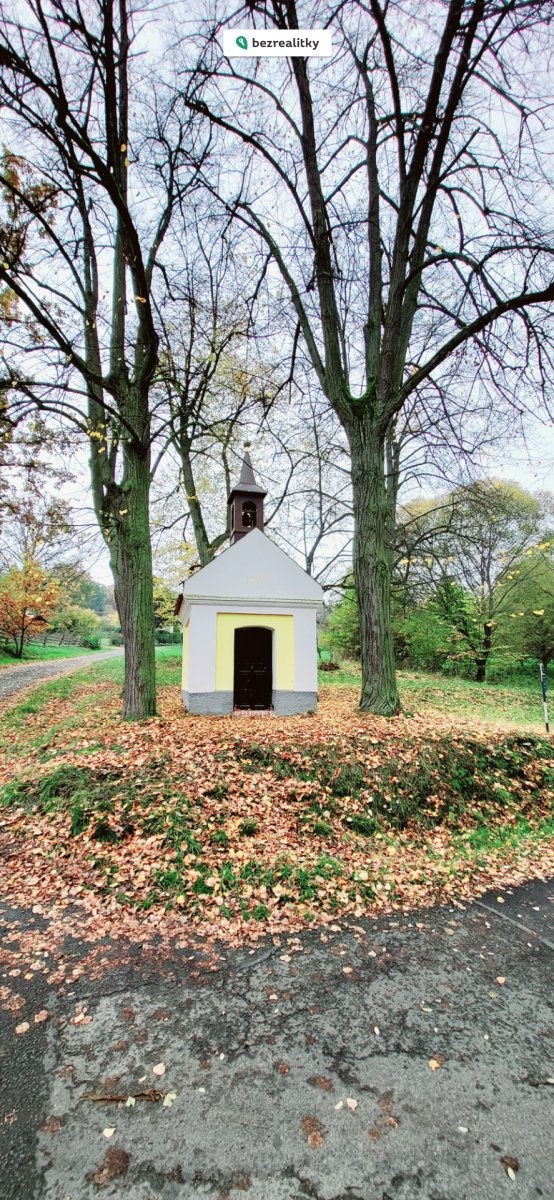 1730139660-rwdzqgrofz-1000008463