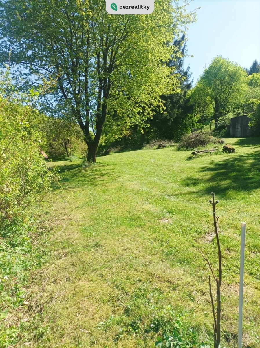 1745781562-xpvrtszdus-1000028384