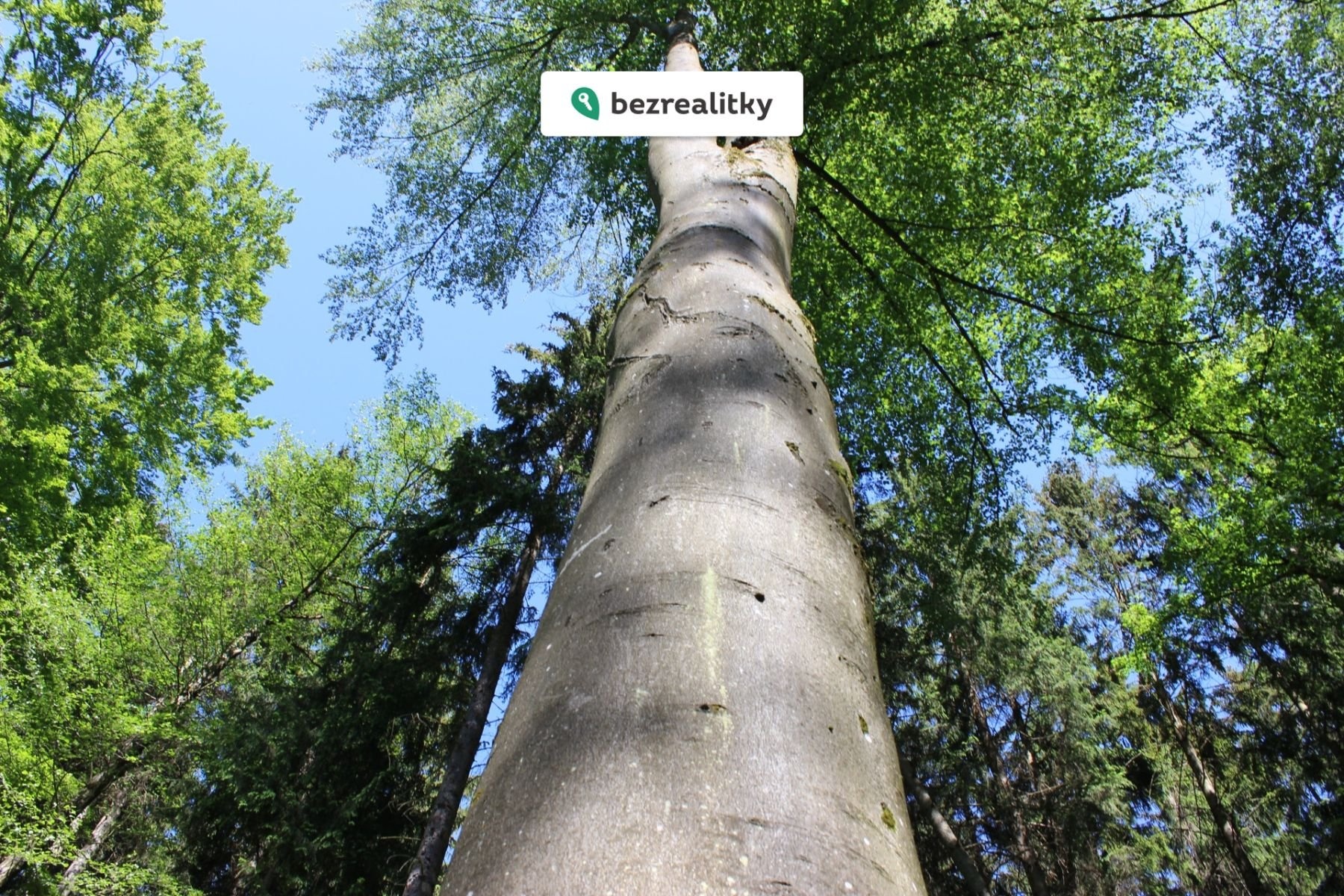 1764545290-hndulconsi-img-6488