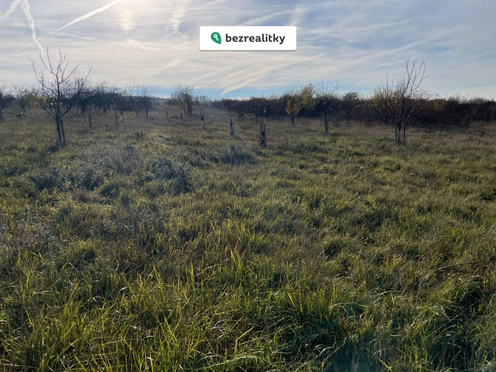 1770731507-vuzfqybqml-img-2978