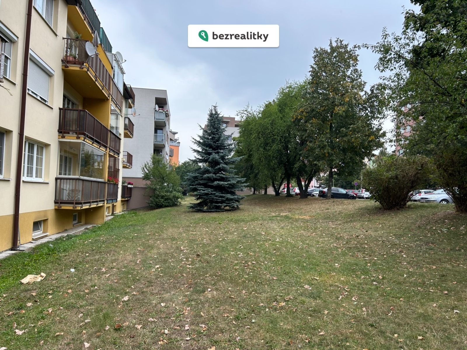 1756303905-wyqfhowgps-img-3540