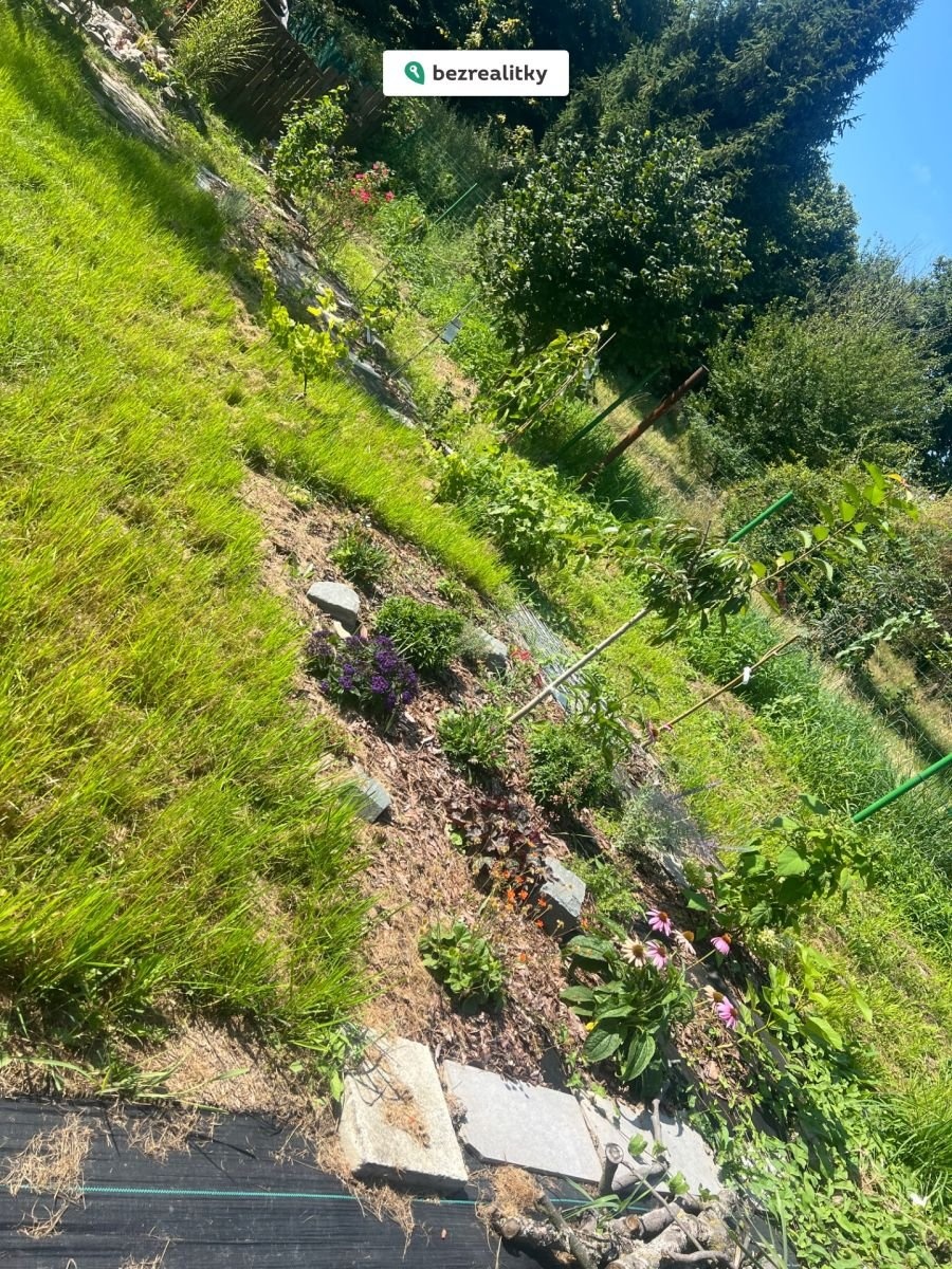 1770056054-jgdhupbmtb-img-2033