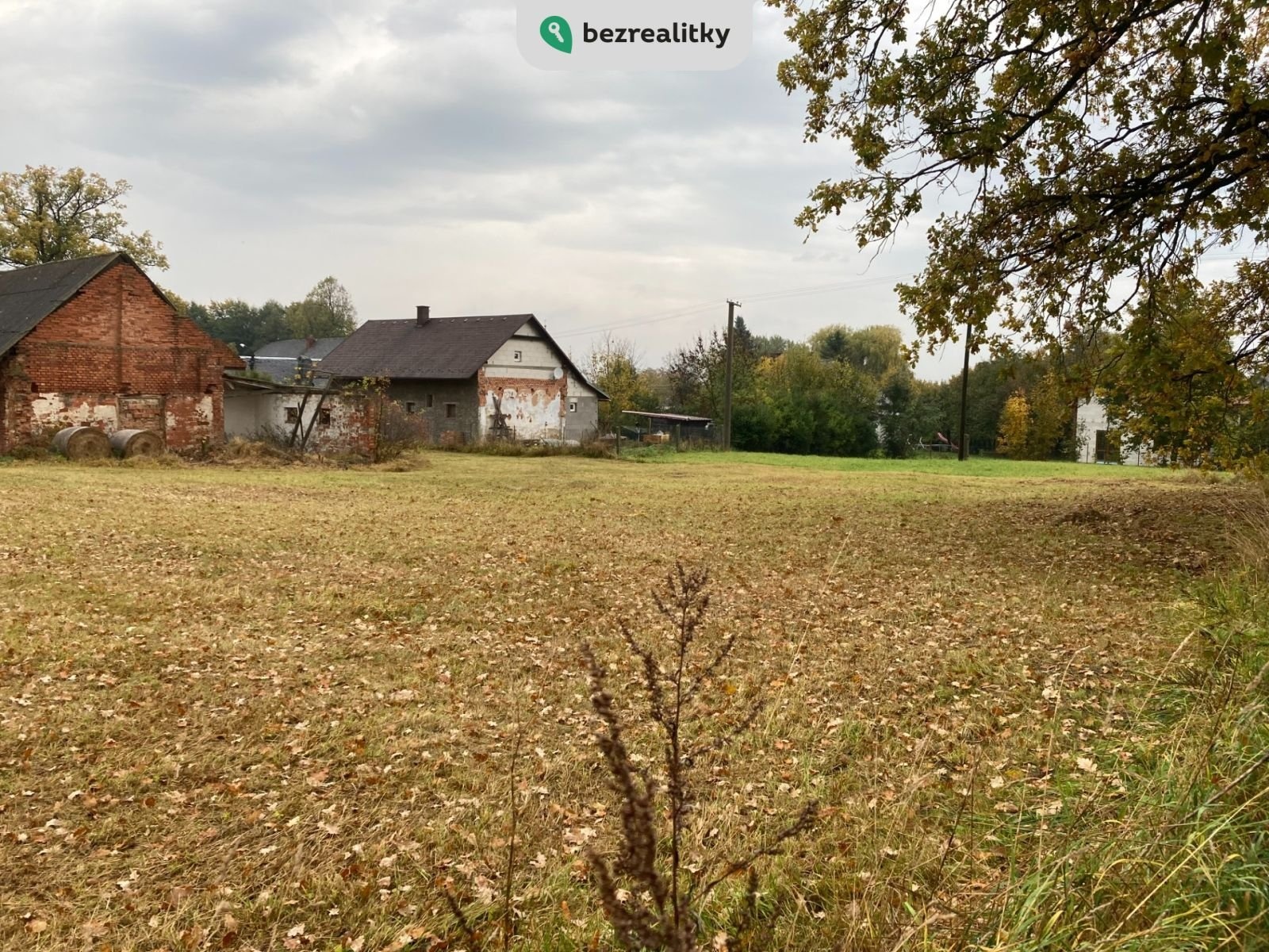 1745784867-ecvnucmlrh-trp-c3-adk-10-21-2810-29