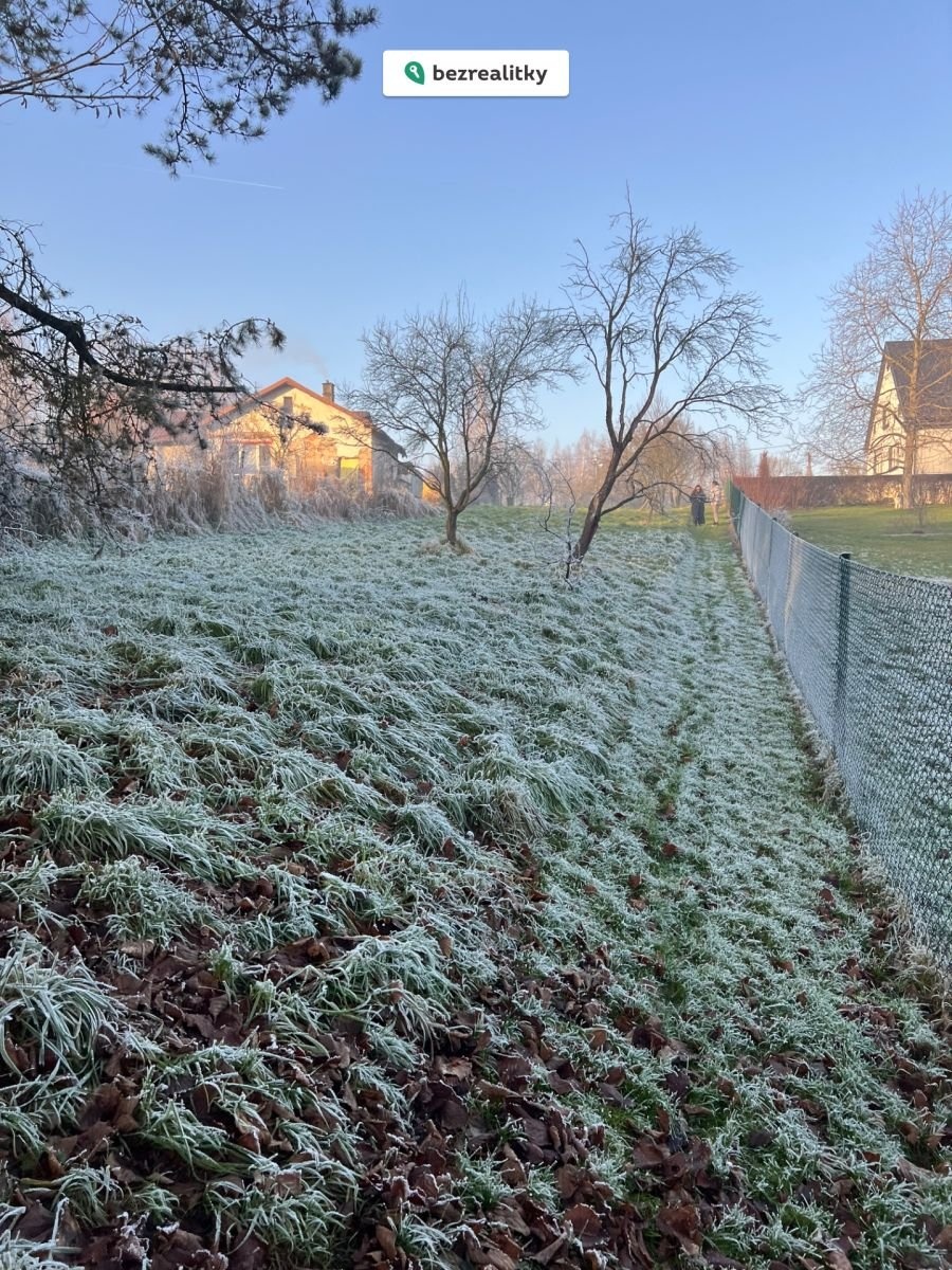 1770055984-yddgcjgvkw-img-6829