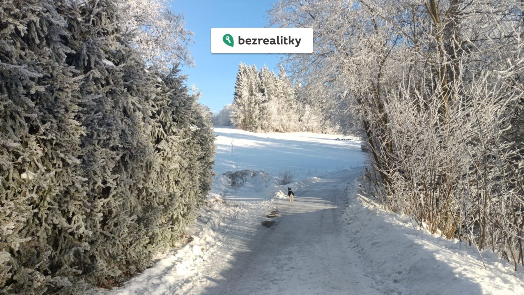 1773661537-fwyxizivds-1000008348