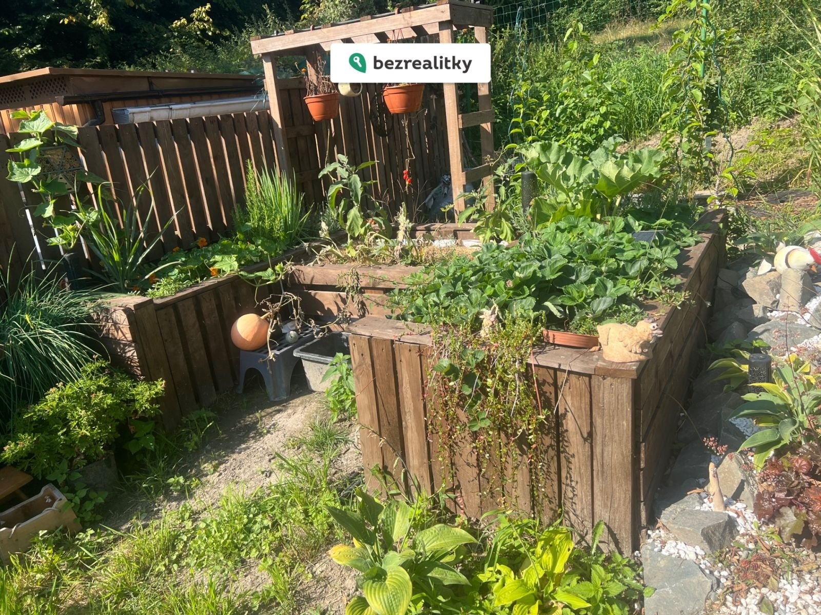 1770056036-caoxasatpz-img-2042