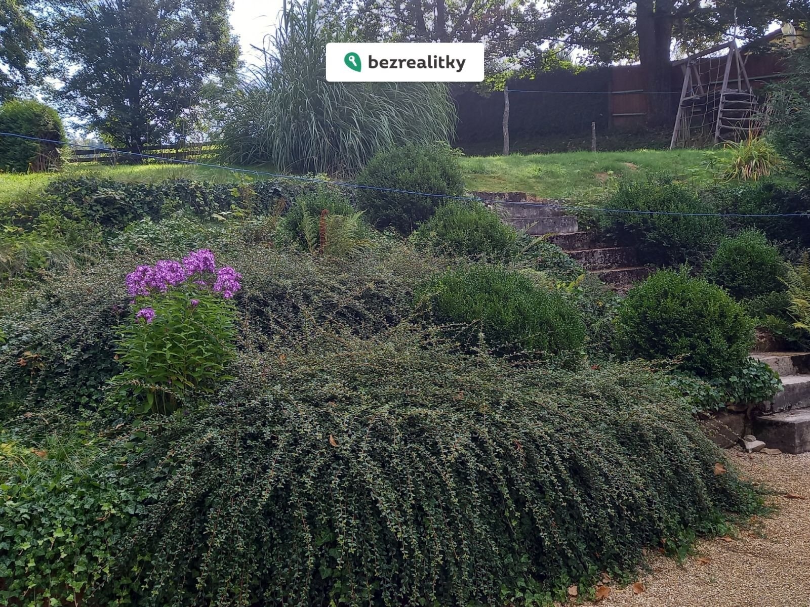 1768479491-djixdlbzay-20250828-095803